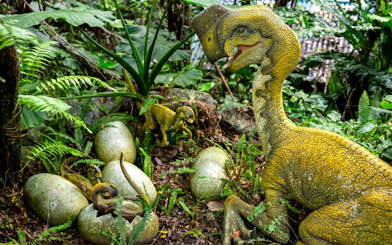 Dinosaurs and eggs in Okashigoten Nago Dino Park, Yanbaru Subtropical Forest.