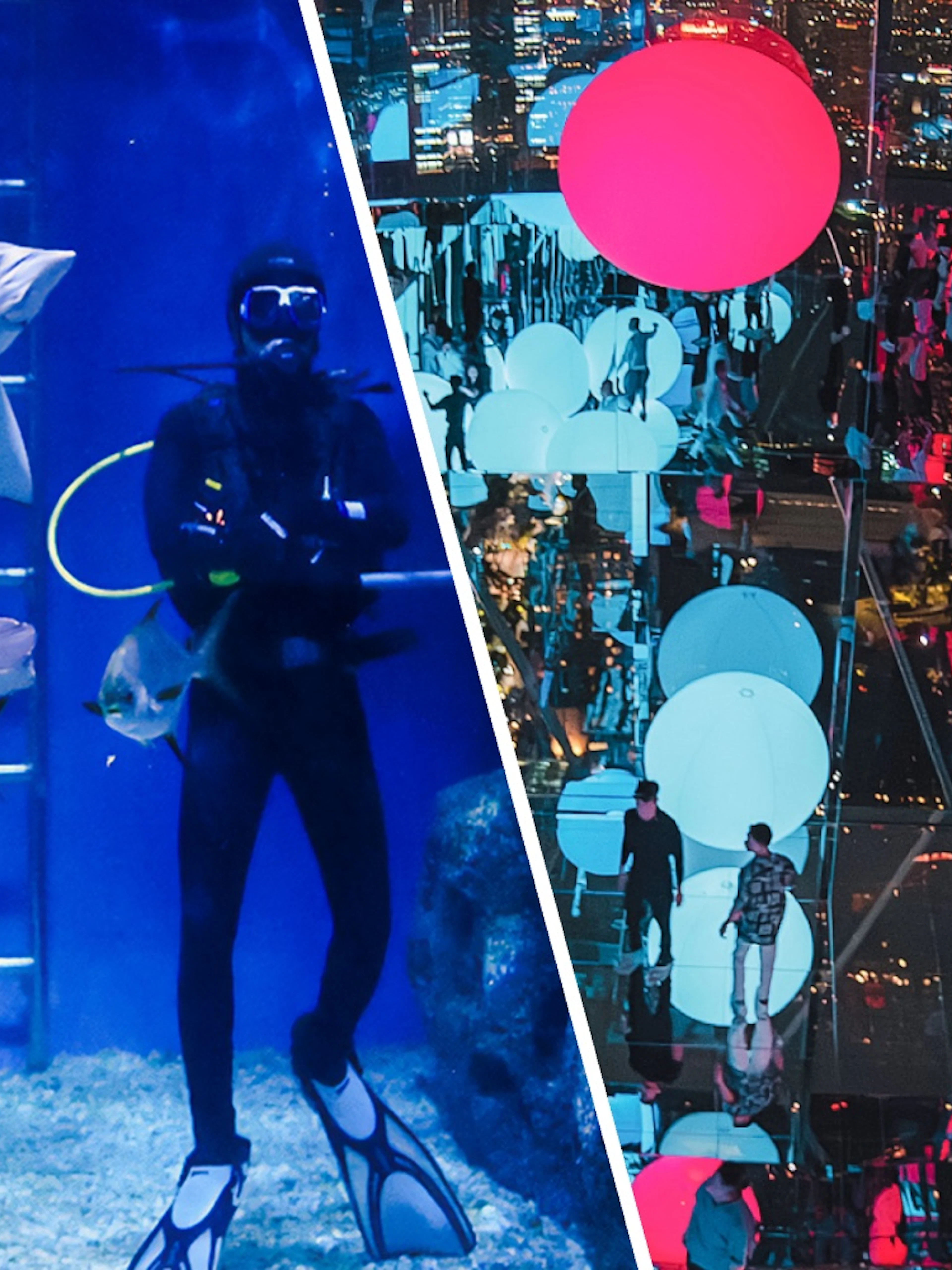 Divers with stingrays in aquarium tank.