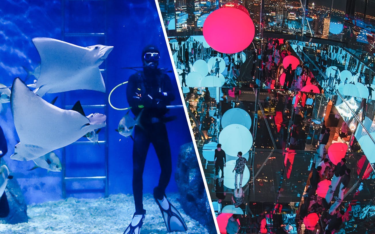 Divers with stingrays in aquarium tank.