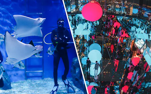 Divers with stingrays in aquarium tank.