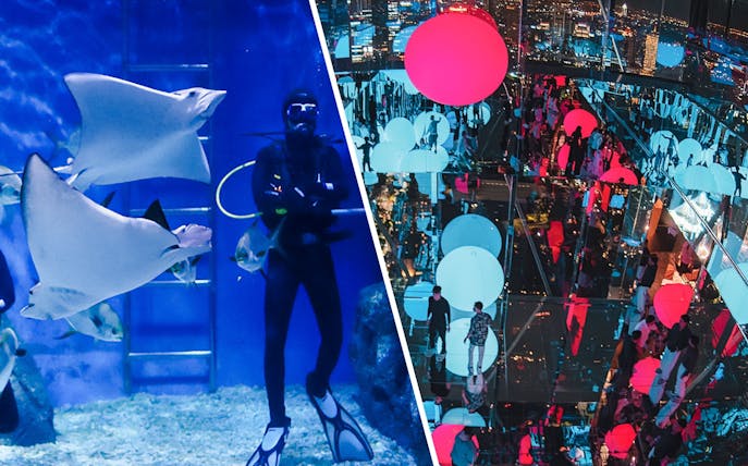 Divers with stingrays in aquarium tank.