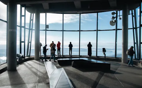 hobart highlights day tour with mt wellington, richmond & bonorong wildlife sanctuary-1