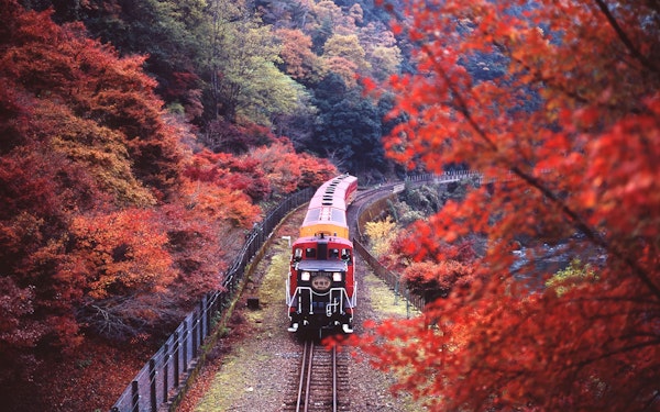 Kyoto Cherry Blossom Day Tour: Sagano Romantic Train, Hozugawa River Boat, and Arashiyama