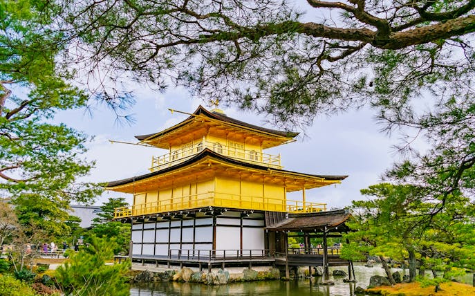 Kinkaku-ji, the Golden Pavilion, surrounded by trees and reflecting in a pond, Kyoto, Japan.