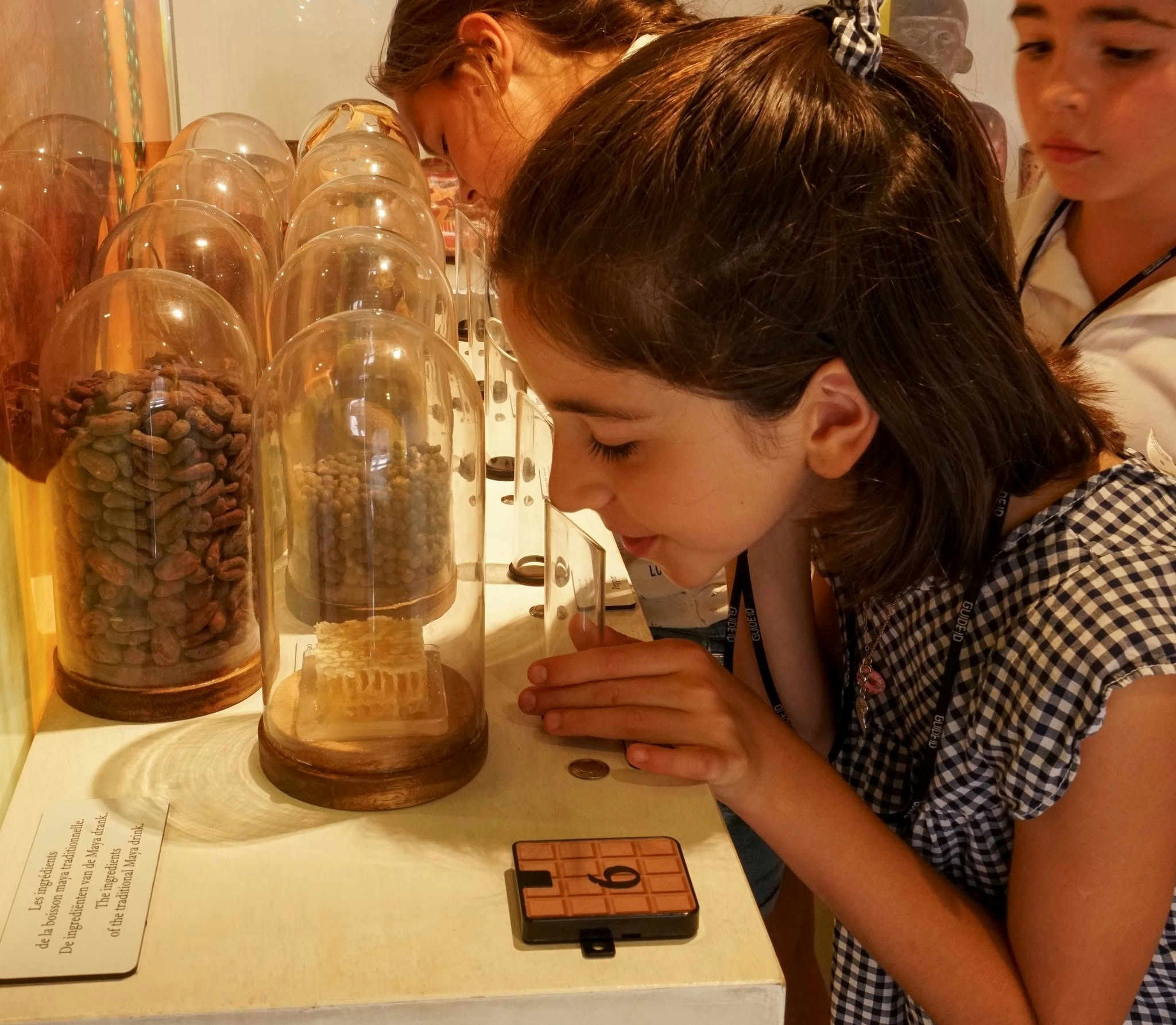 Guests exploring cocoa beans at Choco-Story Brussels Museum workshop.