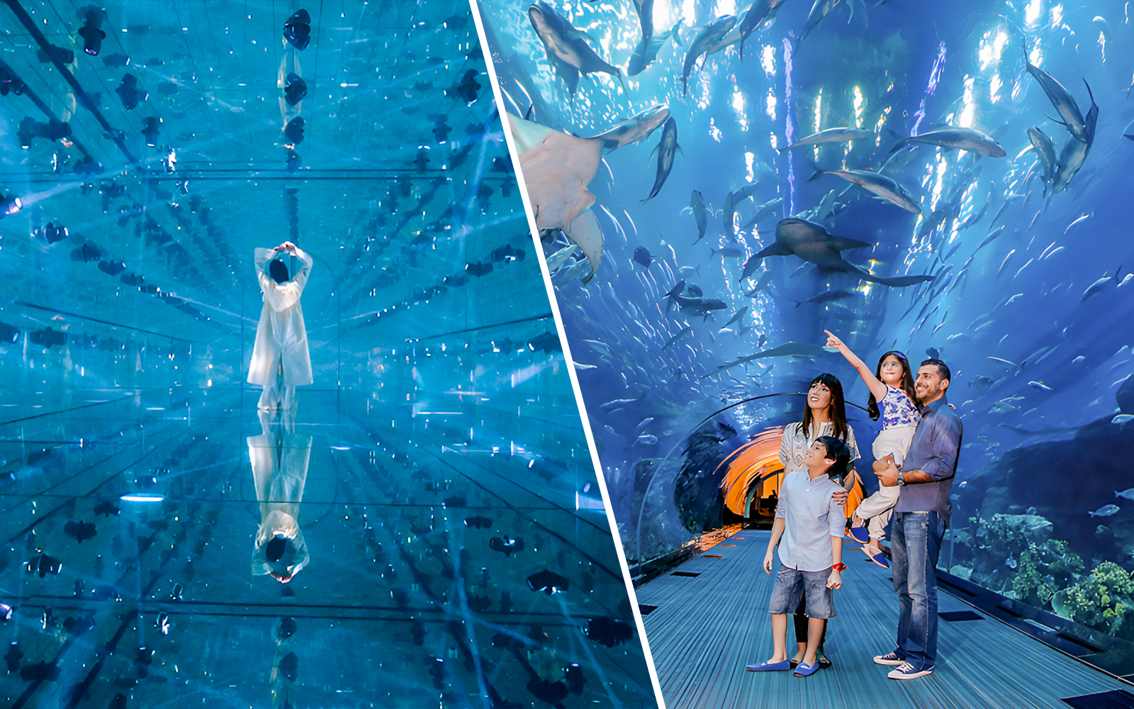 Combo (Save 26%): AYA Universe + Dubai Aquarium & Underwater Zoo Tickets