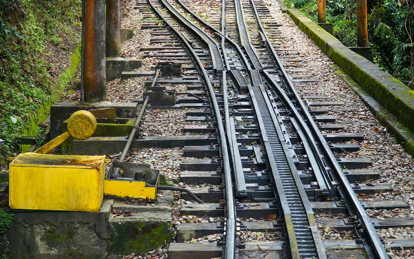 Corcovado mountain railway train ascending through lush forest in Rio de Janeiro, Brazil.