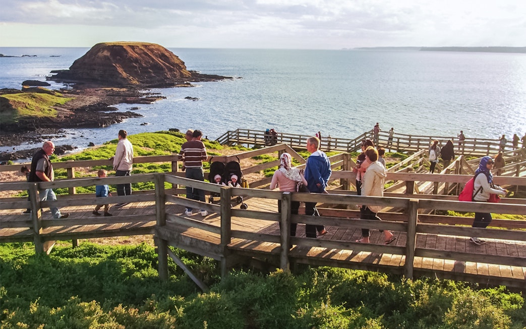 Group of people on boardwalk overlooking ocean at penguin parade site.
