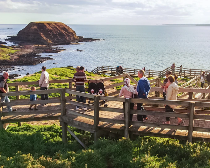 From Melbourne: Healesville Sanctuary & Phillip Island Guided Tour with Penguin Parade