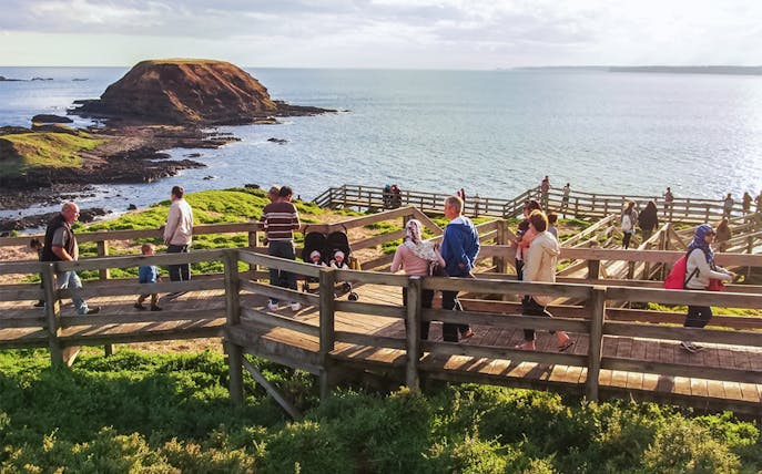 Group of people on boardwalk overlooking ocean at penguin parade site.
