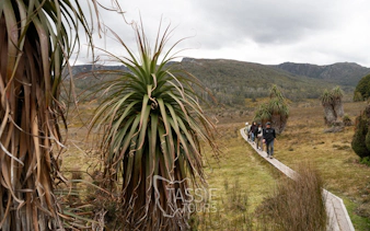 2 jours | 1 nuit - cradle mountain et wineglass bay, nuit à la-4