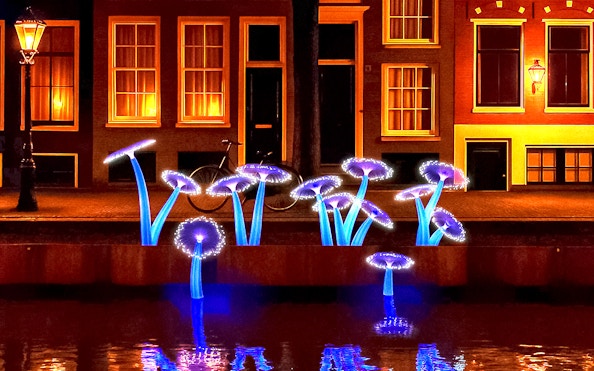 Illuminated art installation resembling mushrooms along Amsterdam canal during Light Festival cruise.