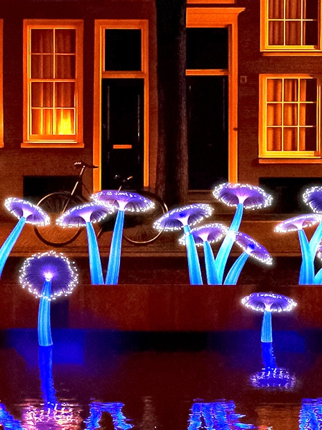 Illuminated art installation resembling mushrooms along Amsterdam canal during Light Festival cruise.