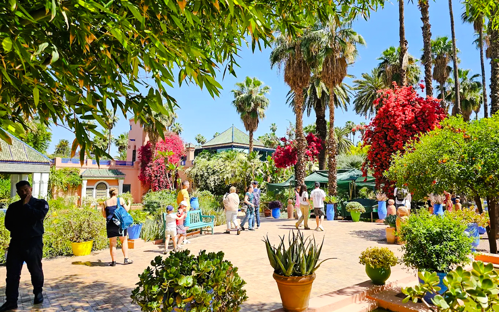 Visitors exploring lush gardens and vibrant flora at Jardin Majorelle, Marrakech.