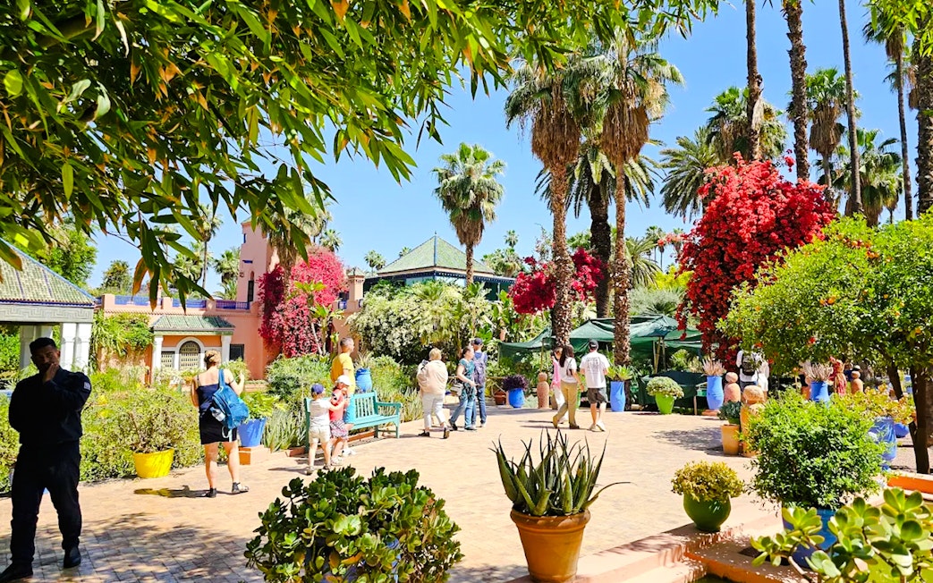 Visitors exploring lush gardens and vibrant flora at Jardin Majorelle, Marrakech.