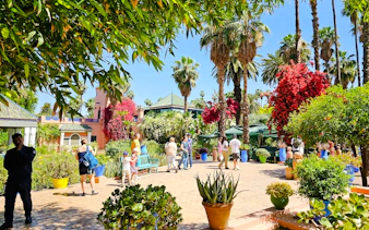 Visitors exploring lush gardens and vibrant flora at Jardin Majorelle, Marrakech.