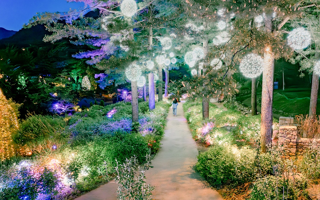 Pathway through garden with orb lights and colorful displays at night, The Healing Park.