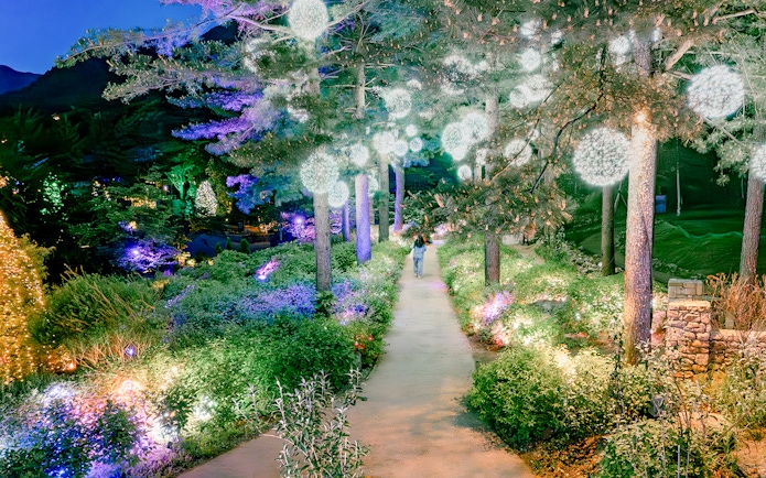 Pathway through garden with orb lights and colorful displays at night, The Healing Park.