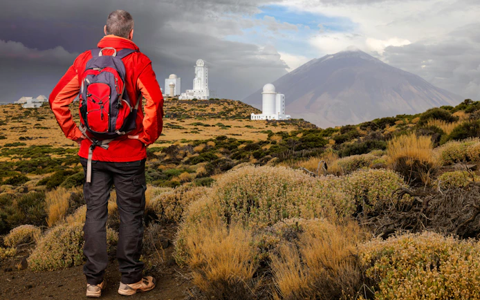 Hiker views Teide volcanic cone and observatory on Tenerife, surrounded by bushes and grasses.