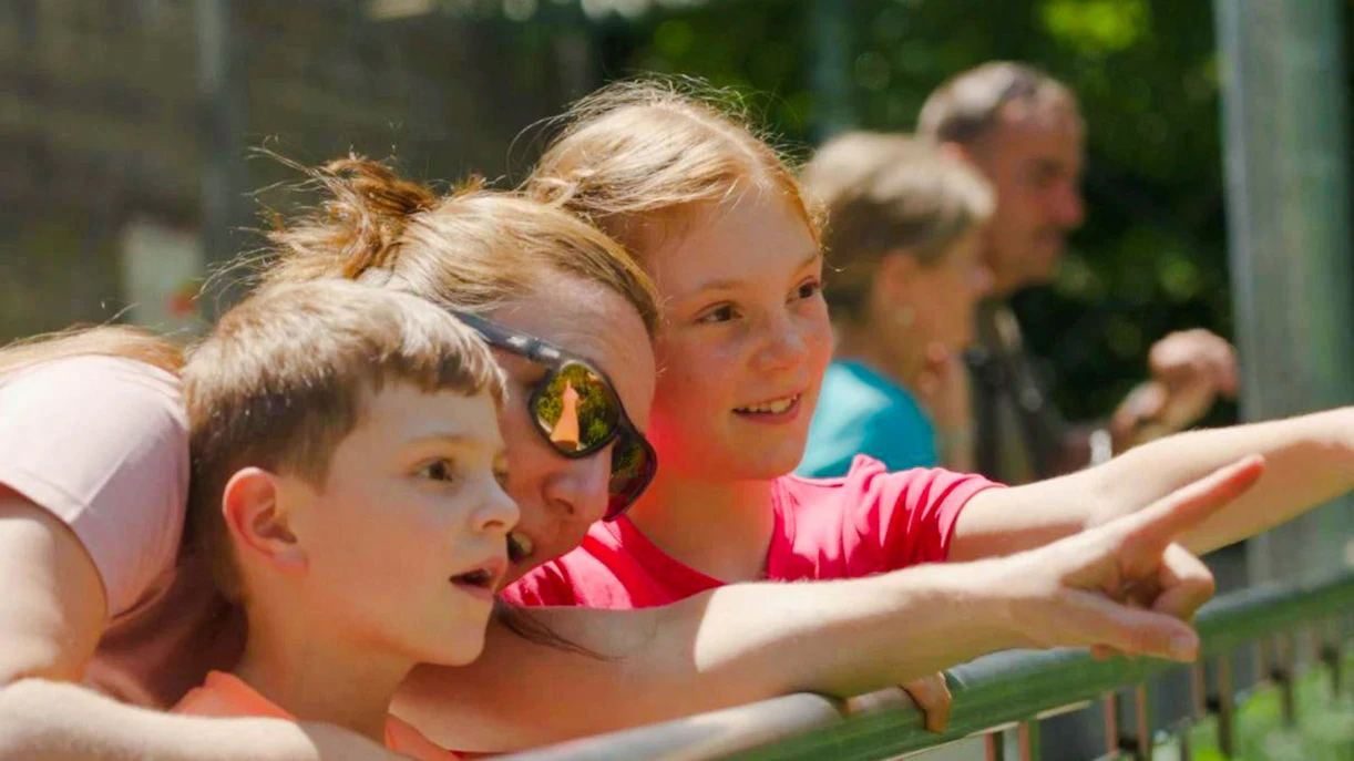 Guests observing animals at Alpenzoo Innsbruck.