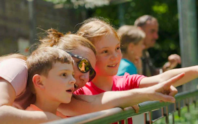 Guests observing animals at Alpenzoo Innsbruck.
