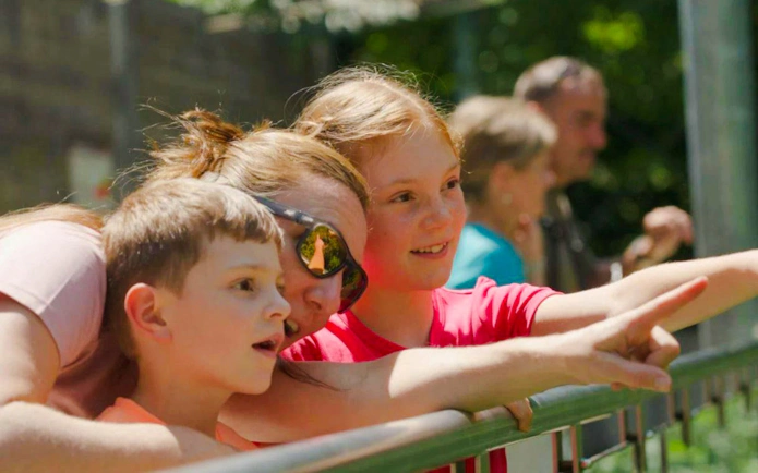 Guests observing animals at Alpenzoo Innsbruck.