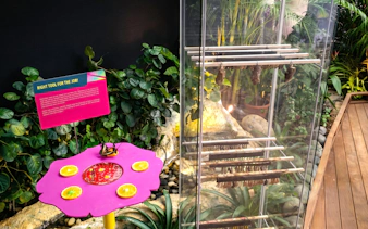 Butterfly enclosure with chrysalis display at Science Centre Singapore.