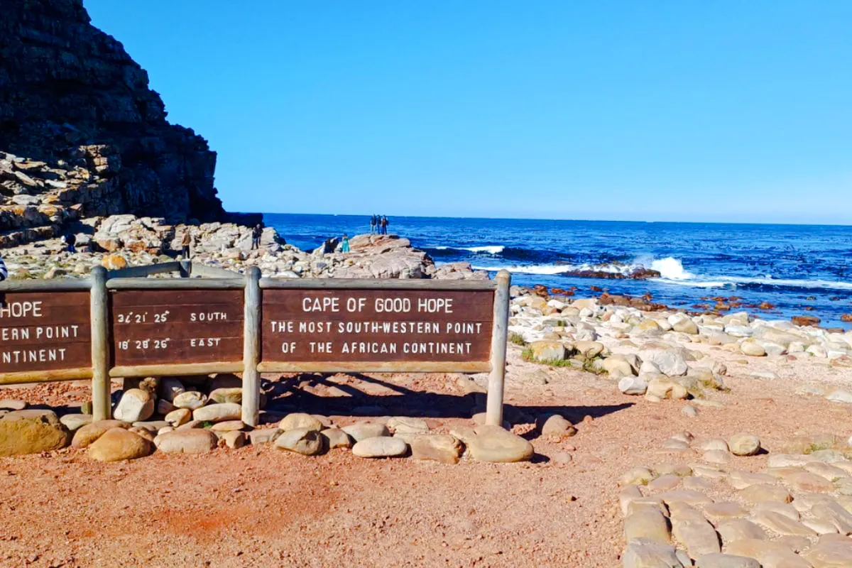 From Cape Town: Cape of Good Hope and Cape Point Tour with Boulders Beach Penguins Image 8