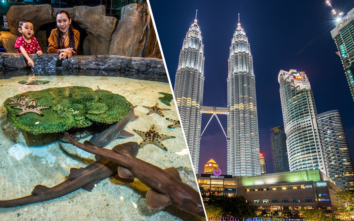 Petronas Twin Towers at night and visitors at Aquaria KLCC touch pool in Kuala Lumpur.