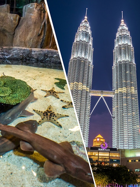 Petronas Twin Towers at night and visitors at Aquaria KLCC touch pool in Kuala Lumpur.