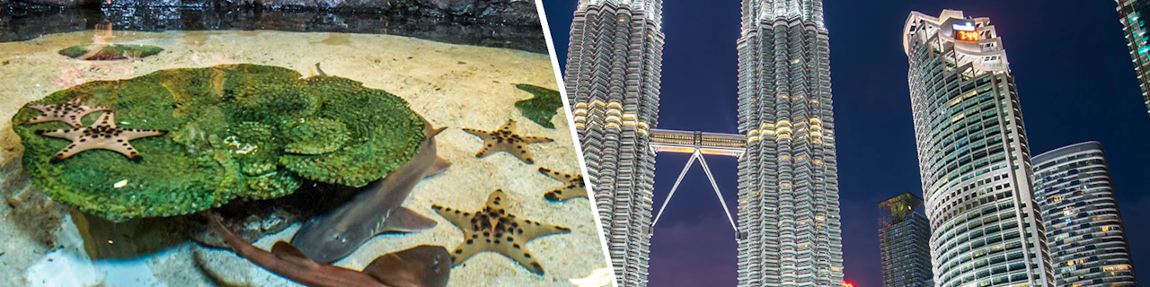 Combo: Aquaria KLCC + Torri gemelle Petronas Biglietti