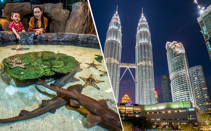 Petronas Twin Towers at night and visitors at Aquaria KLCC touch pool in Kuala Lumpur.