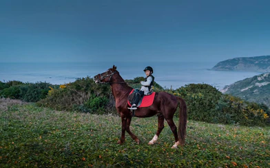 Horseback rider on coastal trail in Mnar, Tangier with ocean view.