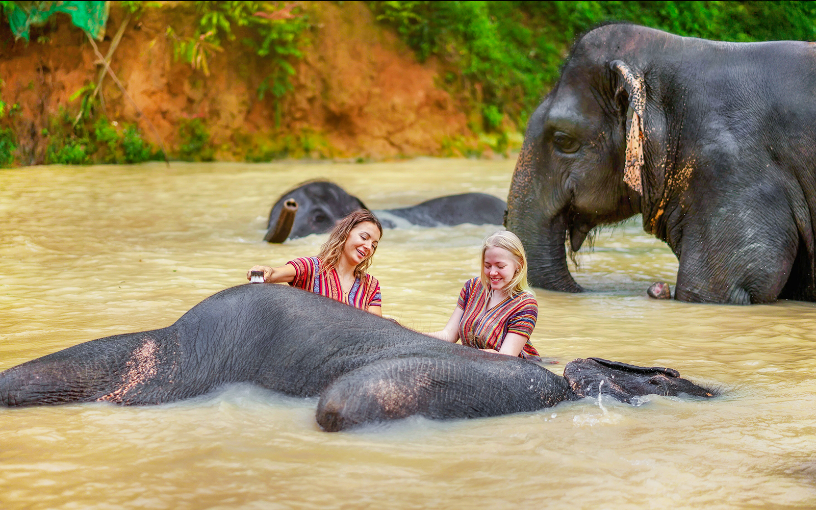 Women bathing elephants at Elephant Jungle Sanctuary, Phuket, Thailand.