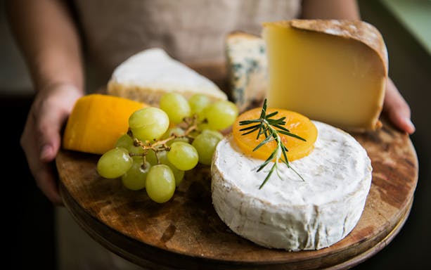 Cheese and grapes platter at a Polish vineyard.