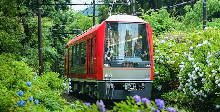Kamakura Day Tours from Tokyo