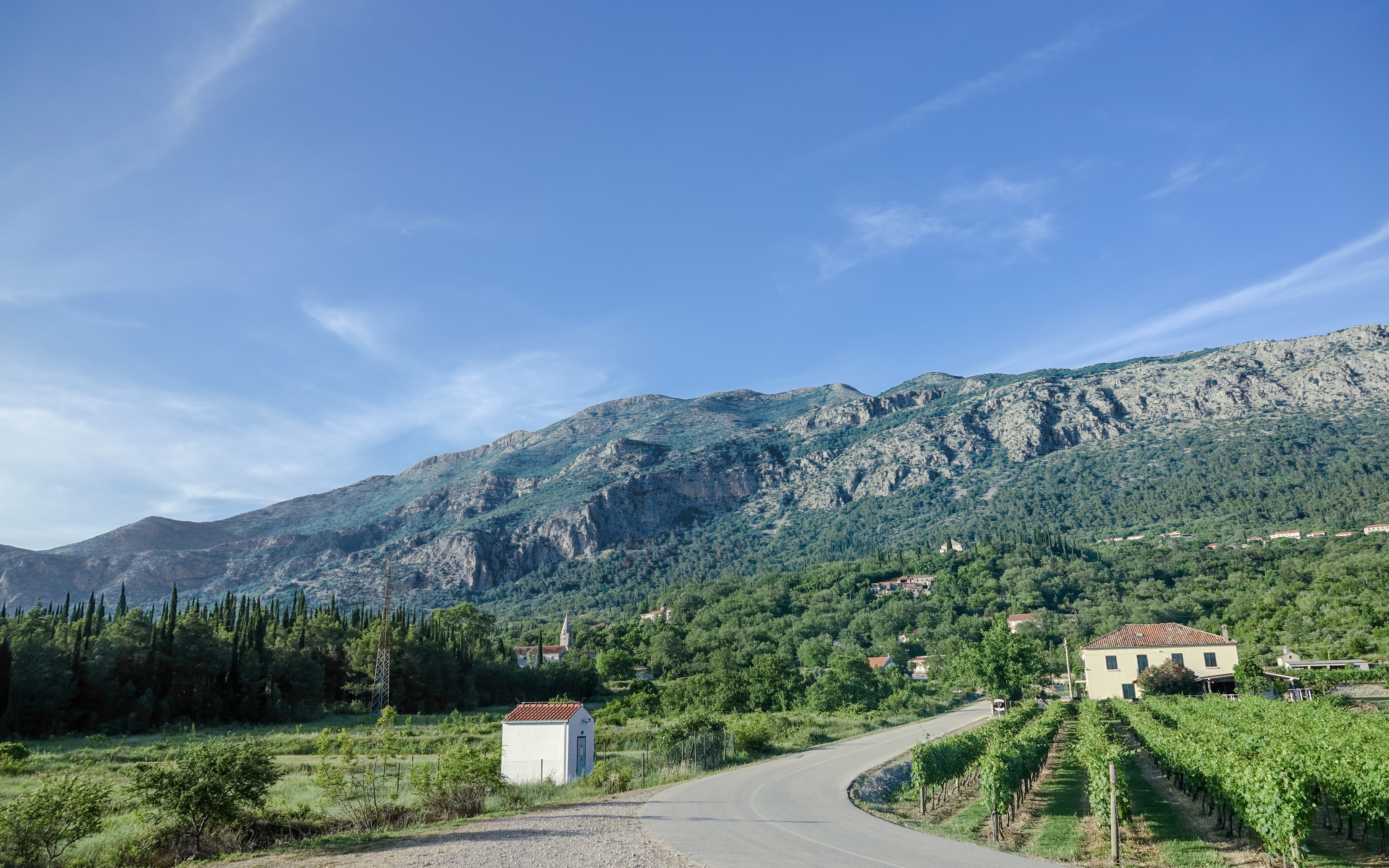 Vineyard and road in Konavle Valley with mountains near Dubrovnik, Croatia.