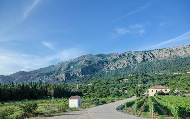 Vineyard and road in Konavle Valley with mountains near Dubrovnik, Croatia.