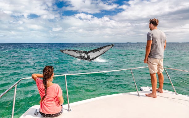 People on a ship watching a whale tail in the ocean.