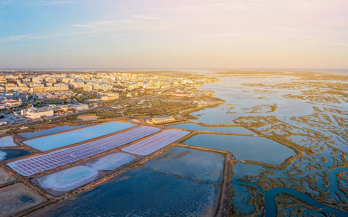 full-day private guided cruise in ria formosa-3 full-day private guided cruise in ria formosa-3