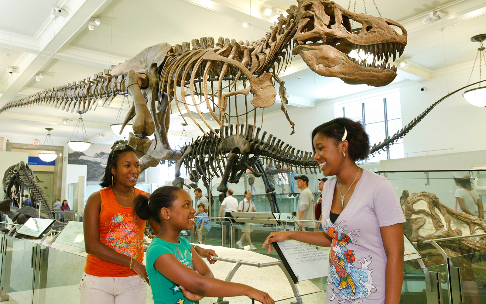 American Museum of Natural History dinosaur skeleton exhibit in New York City.