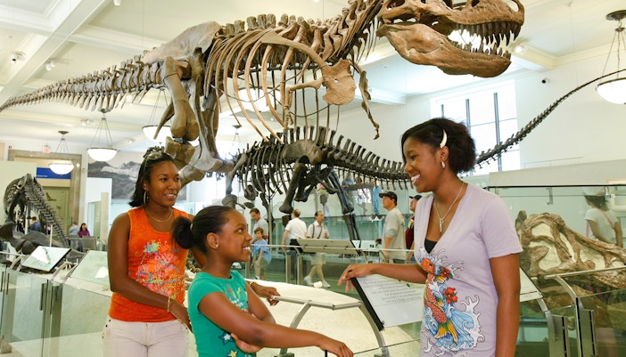 American Museum of Natural History dinosaur skeleton exhibit in New York City.
