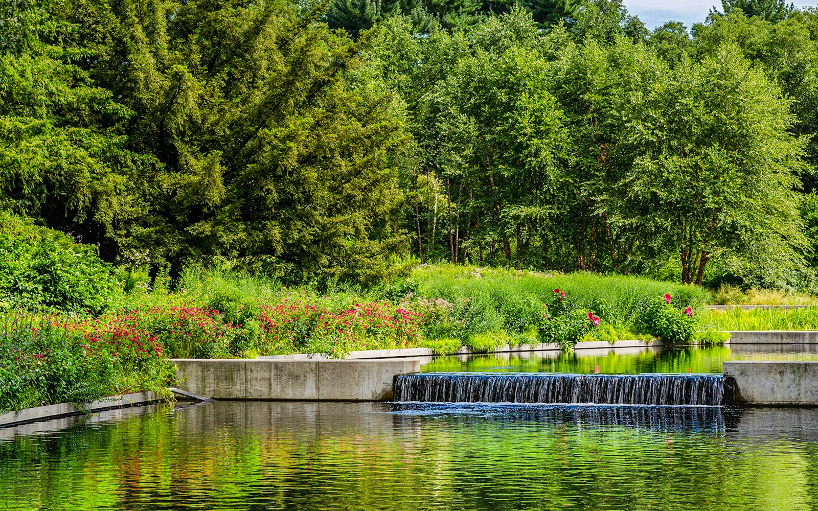 Native Plant Garden