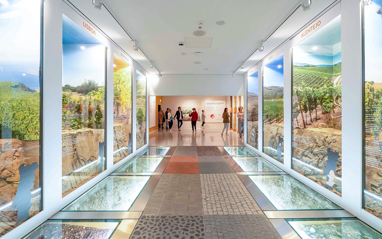 Visitors walking through a wine exhibit hallway with vineyard displays at The Wine Experience.
