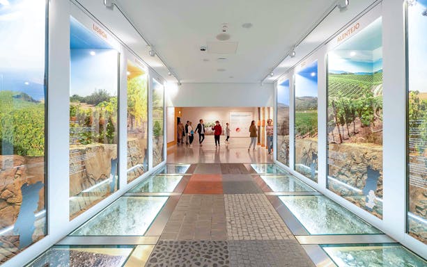 Visitors walking through a wine exhibit hallway with vineyard displays at The Wine Experience.