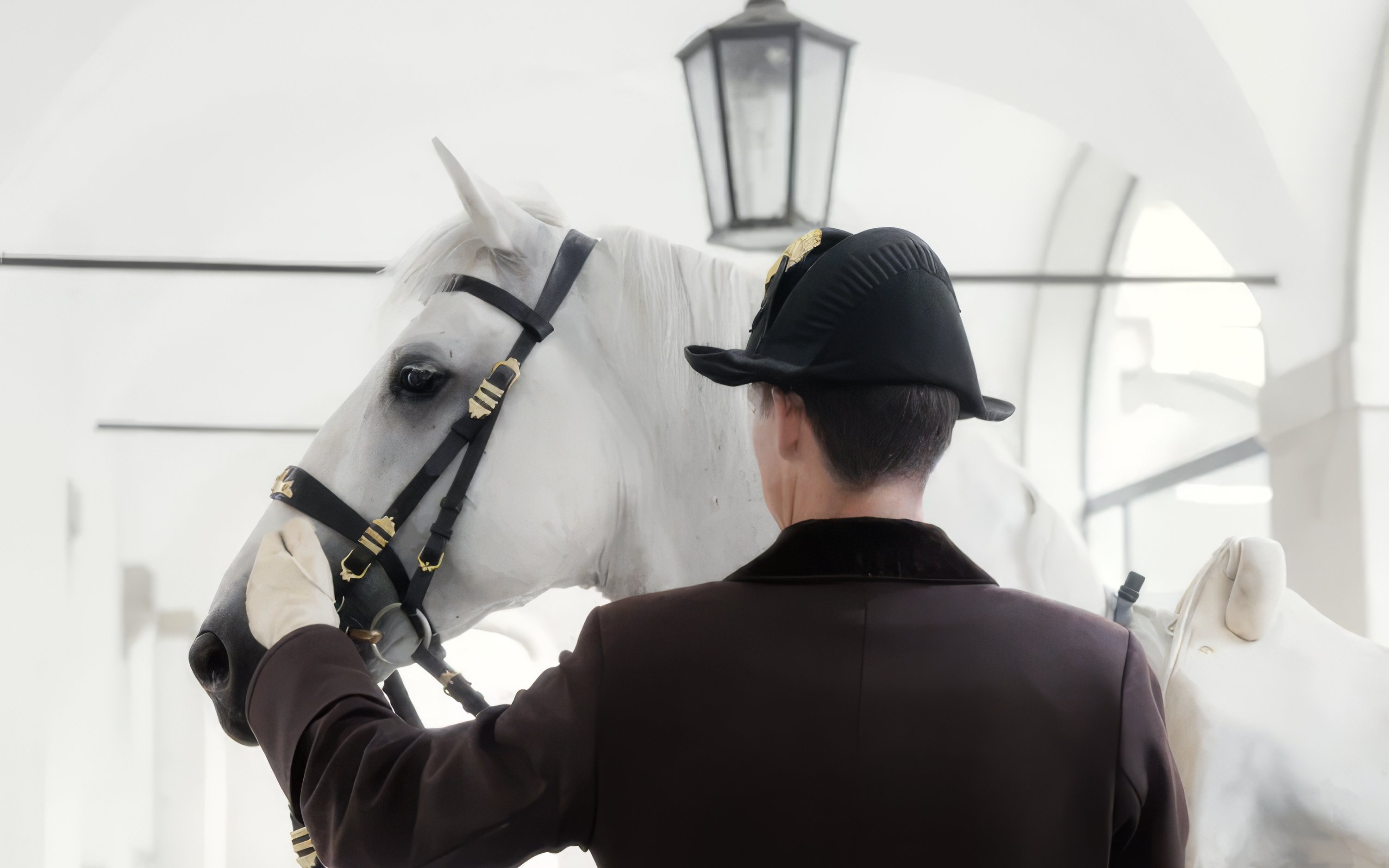 Lipizzaner horse with rider in traditional attire indoors.
