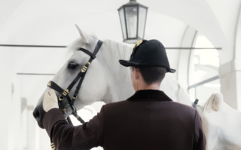 Lipizzaner horse with rider in traditional attire indoors.