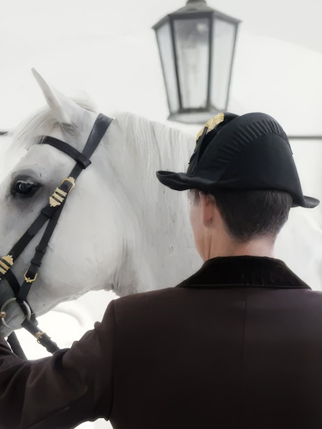Lipizzaner horse with rider in traditional attire indoors.
