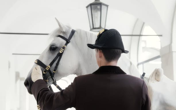 Lipizzaner horse with rider in traditional attire indoors.