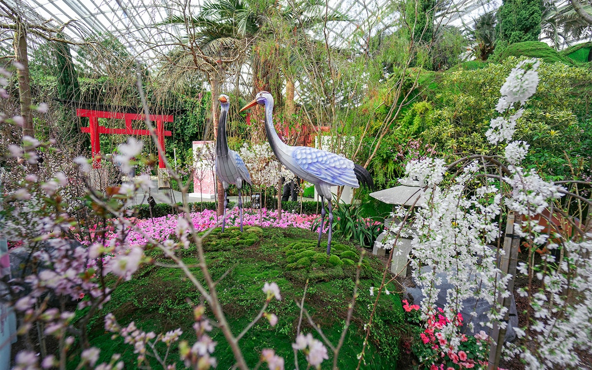 Cranes and cherry blossoms in Flower Dome, Singapore.